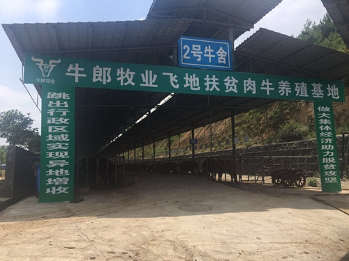 真抓实干谋发展&nbsp;顺利实现双过半(图30)