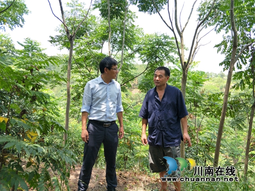 泸县立石镇喻德水：产业转型探路者&nbsp;&nbsp;群众致富引路人(图2)