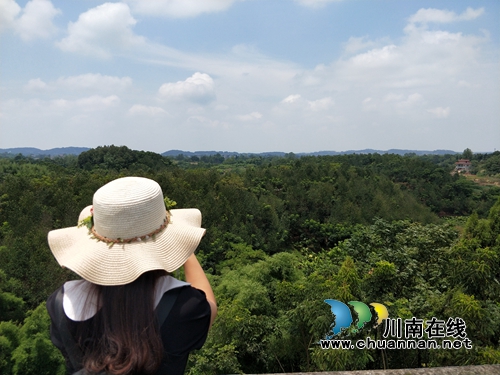 泸县立石镇喻德水：产业转型探路者&nbsp;&nbsp;群众致富引路人(图3)