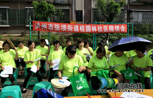 江阳区张坝街道多举措扎实推进党风廉政建设社会评价工作(图4)