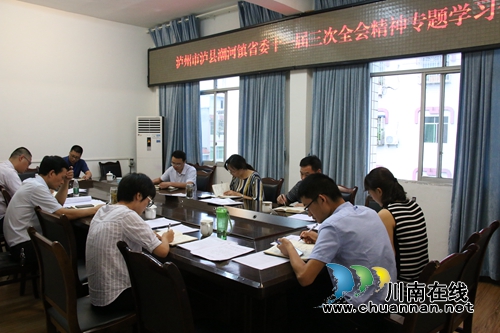 泸县潮河镇召开8月党风廉政建设工作专题研究部署会(图1)