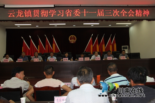 泸县云龙镇贯彻学习省委十一届三次全会、市委八届五次全会和县委十三届六次全会精神(图1)