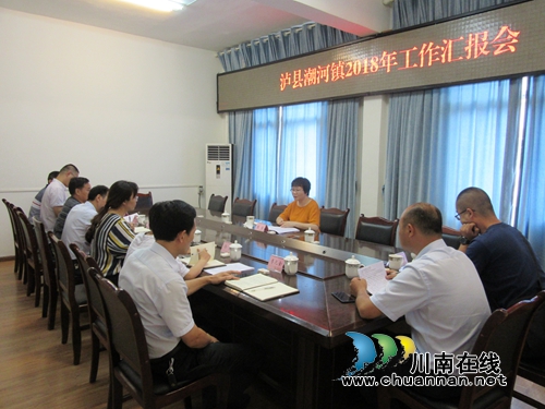 陈佳到泸县潮河镇督查半年重点工作暨开展河长制巡查(图1)