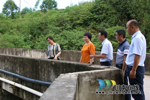 陈佳到泸县潮河镇督查半年重点工作暨开展河长制巡查(图2)