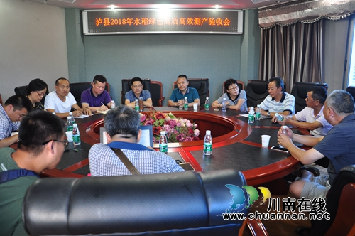 泸县水稻绿色高产高效创建项目通过验收(图3) 泸县水稻绿色高产高效创建项目通过验收(图3)