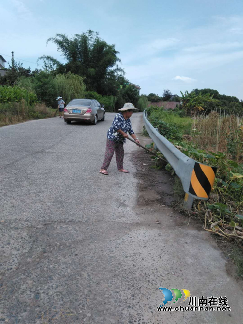 龙马潭区特兴街道奎丰社区整治社区周围环境卫生(图1)