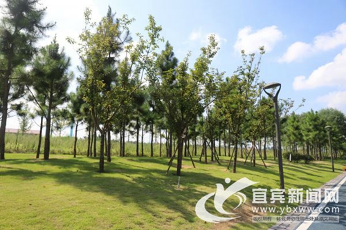 一城山水一城诗&nbsp;宜宾迎创建国家园林城市初审(图2)