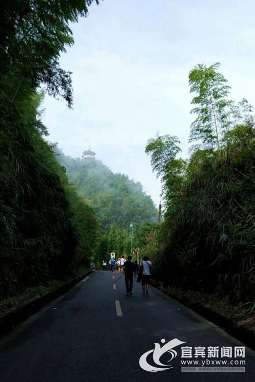 快旅慢游留游客心&nbsp;蜀南竹海构筑交通新体系(图3)