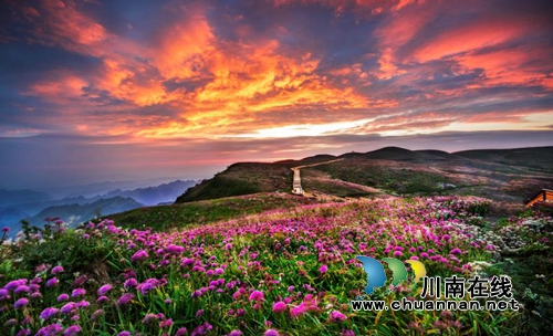 观奇景览民俗&nbsp;贵州阿西里西邀你赴约清凉之旅(图1)