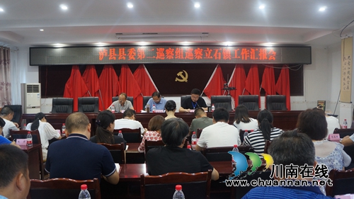 泸县县委第二巡察组到立石镇开展巡察回访工作(图1)