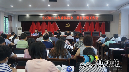 泸县立石镇召开森林防火及秸秆禁烧工作推进会(图1)