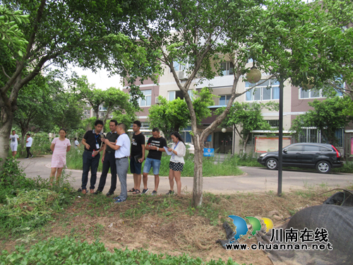 江阳区张坝街道党政领导调研桂圆林社区(图2)