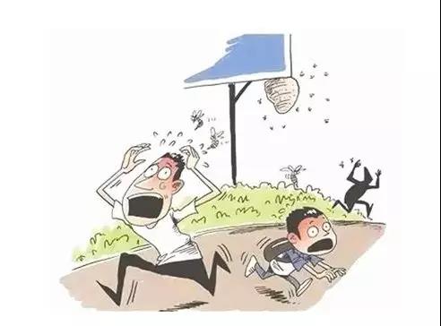 自贡一家人来泸州耍遭蜂子阻击&nbsp;提前打道回府(图1)