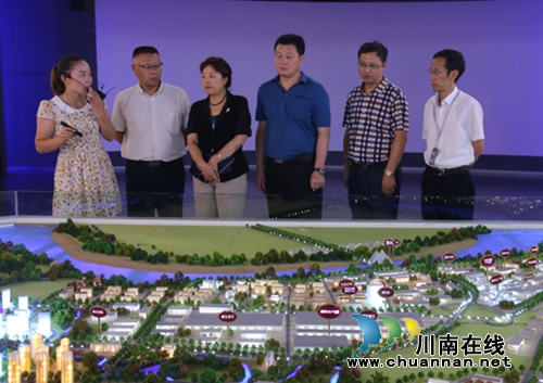致公党江苏省委考察团莅临泸州高新区考察调研(图1)