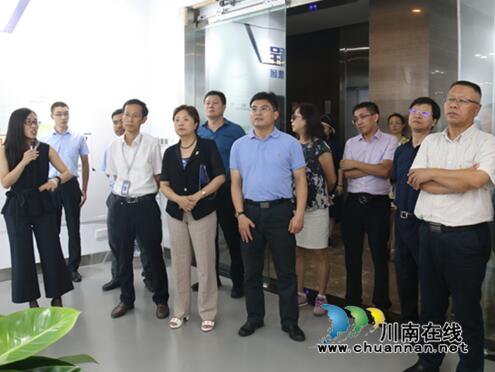 致公党江苏省委考察团莅临泸州高新区考察调研(图2)