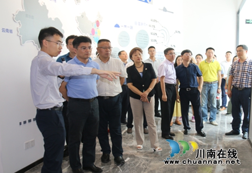 致公党江苏省委考察团莅临泸州高新区考察调研(图3)