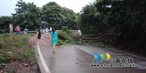 泸县太伏镇紧急开展暴雨灾情核实和安全隐患排查(图3)