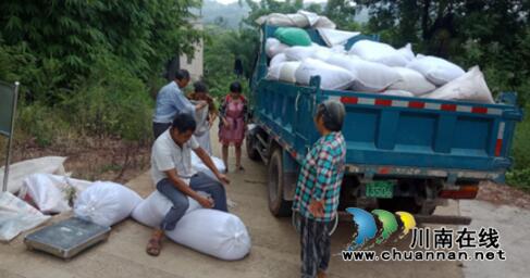 宜宾长兴镇：农民卖高梁&nbsp;集体来帮忙(图1)