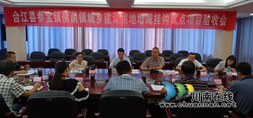 合江县参宝镇、佛荫镇城乡建设用地增减挂钩试点项目通过省级验收(图2)