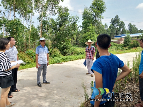 泸县潮河镇开展畜禽养殖场安全生产及环保检查(图2)