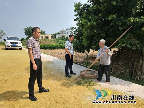 泸县立石镇：劝导占道晾晒稻谷&nbsp;确保公路安全畅通(图1)
