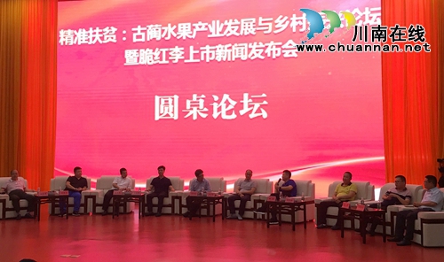 助推乡村振兴&nbsp;古蔺为脆红李定标准(图2)