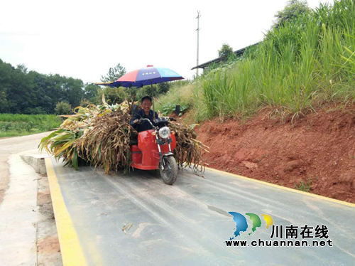 宜宾大坪乡：生态农业有巧招&nbsp;秸秆禁烧收实效(图1)