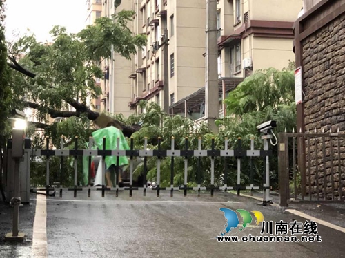 江阳区华阳街道：“格格”冒雨排危&nbsp;助力安全度汛(图2)