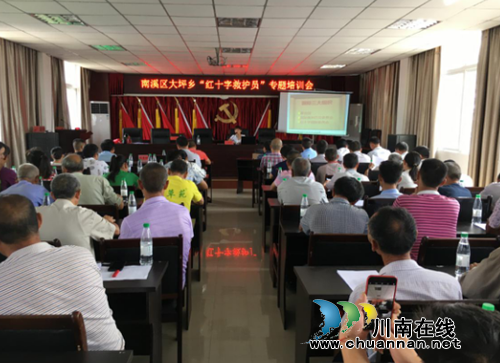 宜宾南溪区大坪乡开展红十字救护员专题培训(图1)