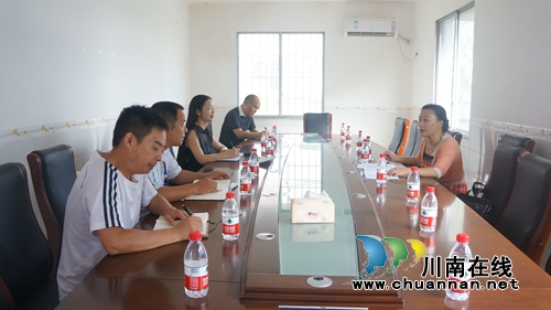 泸县政协到立石镇调研“农村道路交通标识标牌提案”工作(图1)