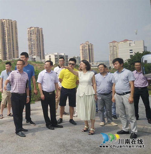 徐利带队督导纳溪区第七次国卫迎复审工作(图1)