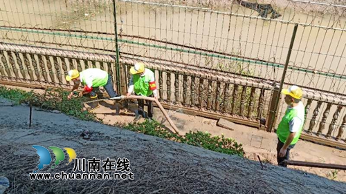 江阳区华阳街道党员志愿者开展清淤行动(图1)