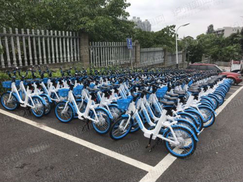 泸州：没有审批手续&nbsp;共享单车再次被叫停(图1)