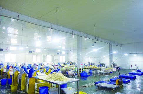 泸州：做活竹文章&nbsp;锻造产业链(图4)