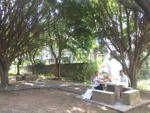 泸州炭黑厂:回望过去 老厂带荣繁;展望未来 旧址换新颜(图1) 泸州炭黑厂:回望过去 老厂带荣繁;展望未来 旧址换新颜(图1)