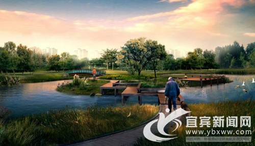山水入城中&nbsp;宜宾江安天堂河打造景观湿地公园(图4)