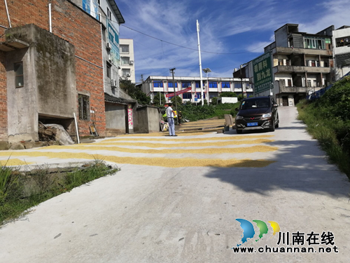 泸县奇峰镇:开展占用公路晾晒粮食专项整治行动(图1) 泸县奇峰镇:开展占用公路晾晒粮食专项整治行动(图1)