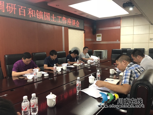 泸县国土资源局到百和镇调研国土工作(图2)