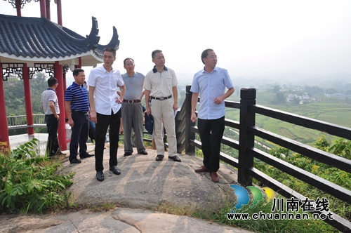 四川省政府高标准农田绩效考评组到泸县考评(图1)