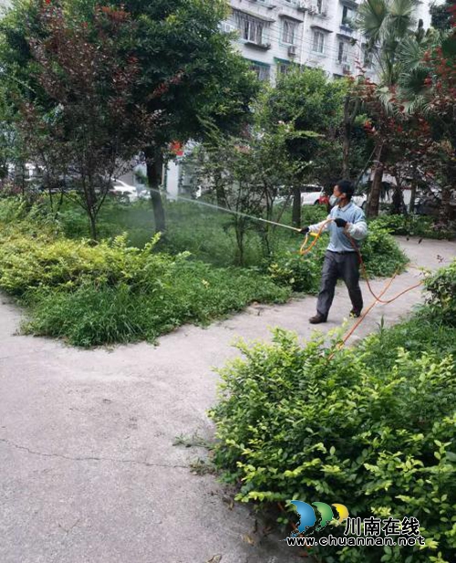 龙马潭区红星街道开展夏季病媒生物防制工作(图1) 龙马潭区红星街道开展夏季病媒生物防制工作(图1)