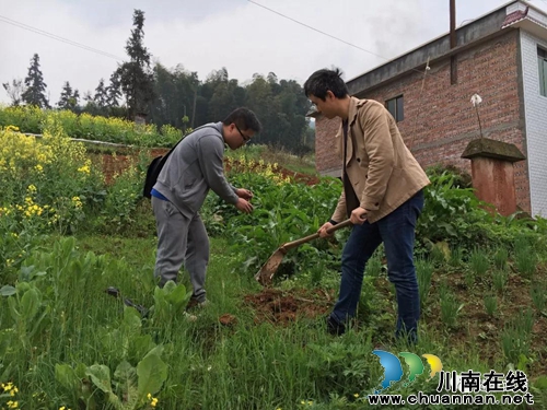 王扬勇：2017年全省脱贫攻坚“五个一”先进(图9)