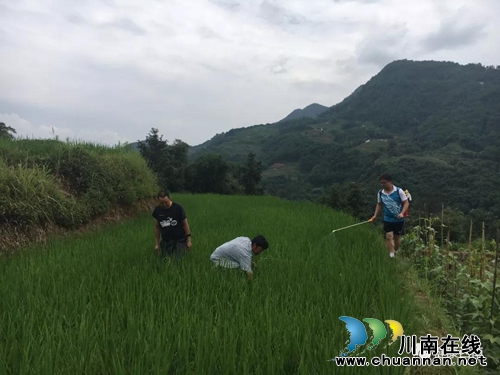 王扬勇：2017年全省脱贫攻坚“五个一”先进(图12)