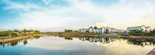 内江：凝心聚力推动乡村振兴发展(图1)