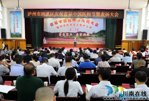 纳溪区举办首届“中国医师节”庆祝大会(图1)