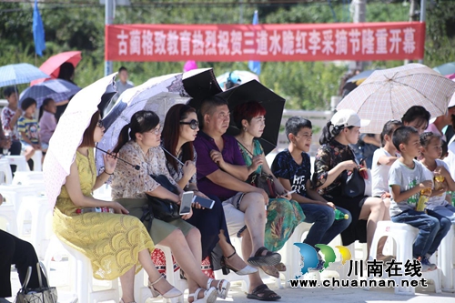 爽脆人间 第五届古蔺三道水脆红李采摘节举行(图7) 爽脆人间 第五届古蔺三道水脆红李采摘节举行(图7)