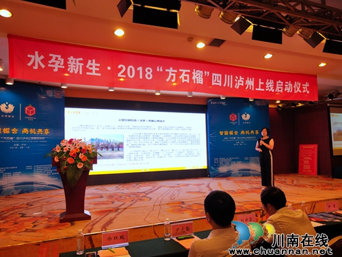 手机APP“方石榴”在泸州正式上线(图4)