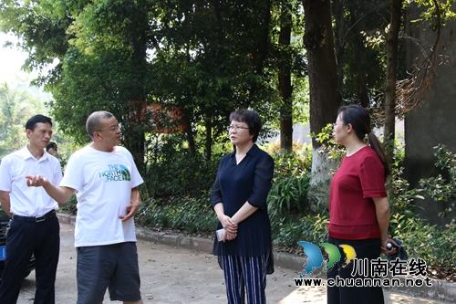 陈佳到泸县潮河镇督查环保工作情况(图3)