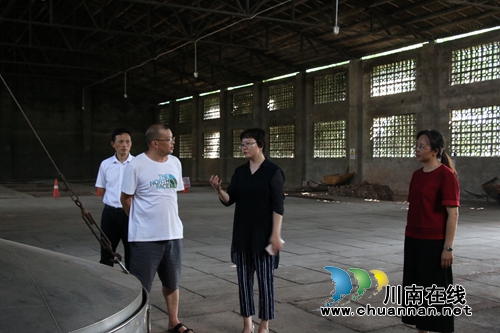 陈佳到泸县潮河镇督查环保工作情况(图4)