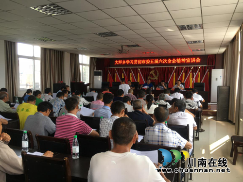 宜宾南溪区大坪乡召开学习贯彻市委五届六次全会精神宣讲会(图1)