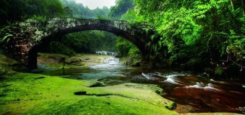 绿水青山&nbsp;金山银山！泸州获800多万激励资金(图4)